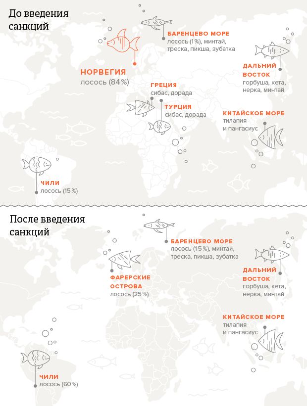 Откуда и как доставляют рыбу в российские магазины Откуда и как доставляют рыбу в российские магазины
